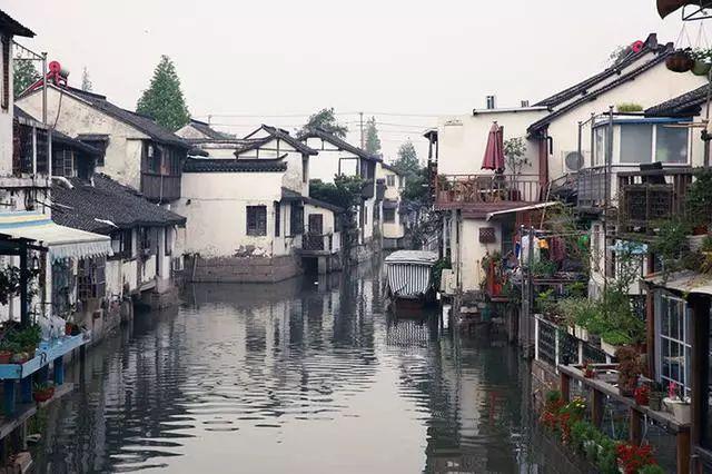 贪吃鼠吃豆豆